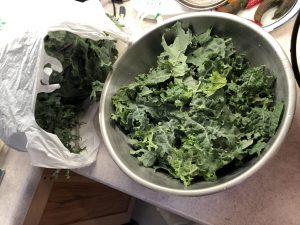 torn kale leaves in bowl