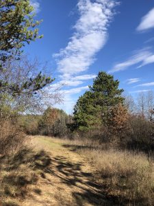 Hiking trail in fall prairie