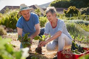 Two happy older people having a picnic outdoors