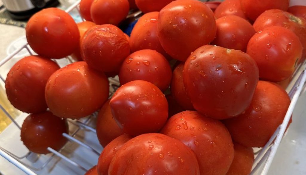 tomatoes in a draining rack