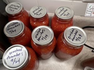 Finished product Canned tomatoes