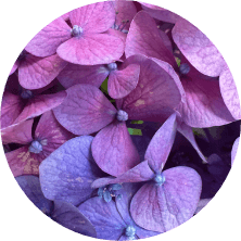 Acupuncture-of-Iowa_Peripheral-Neuropathy_focus-on-feel_circle Acupuncture-of-Iowa_Peripheral-Neuropathy_focus-on-feel_circle