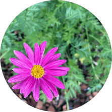 Acupuncture-of-Iowa_Peripheral-Neuropathy_keep-it-simple_circle Acupuncture-of-Iowa_Peripheral-Neuropathy_keep-it-simple_circle